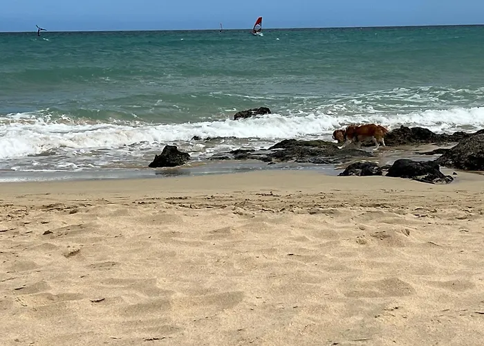 Appartamento Ocean Dream