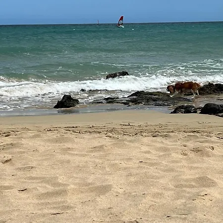 Lejlighed Ocean Dream